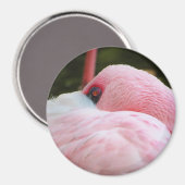 Aimant Flamant rose (Recto/Verso)