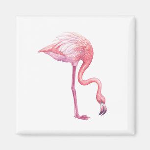 Aimant Flamant rose