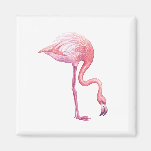 Aimant Flamant rose (Devant)