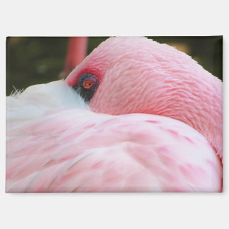 Aimant Flamant rose