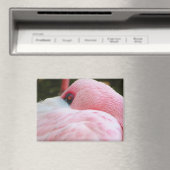 Aimant Flamant rose (In Situ (Lave-vaisselle))