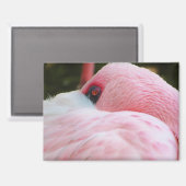 Aimant Flamant rose (Recto/Verso)