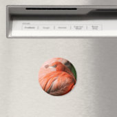 Aimant Flamant rose (In Situ (Lave-vaisselle))