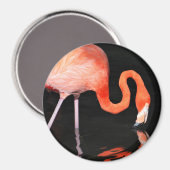 Aimant Flamant rose (Recto/Verso)