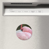 Aimant Flamant rose (In Situ (Lave-vaisselle))