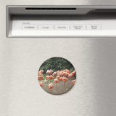 Aimant Flamant rose (In Situ (Lave-vaisselle))