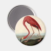 Aimant Flamant rose américain d'Audubon (Recto/Verso)