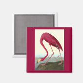 Aimant Flamant rose américain, John James Audubon (Recto/Verso)