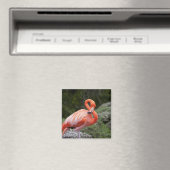 Aimant Flamant rose rose (In Situ (Lave-vaisselle))