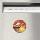 Aimant Flamant rose rose Floride (In Situ (Lave-vaisselle))