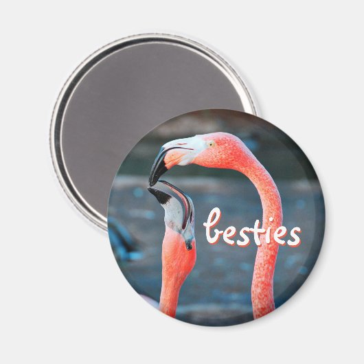Aimant Flamant rose rose Oiseaux Photo Besties Script élé (Recto/Verso)