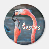 Aimant Flamant rose rose Oiseaux Photo Besties Script élé (Devant)