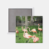 Aimant Flamants roses (Recto/Verso)
