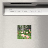 Aimant Flamants roses (In Situ (Lave-vaisselle))