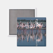 Aimant Flamants roses (Recto/Verso)