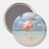 Aimant Flamants roses Beach Aruba (Recto/Verso)