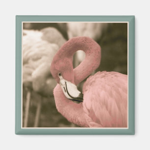 Aimant Flamingo