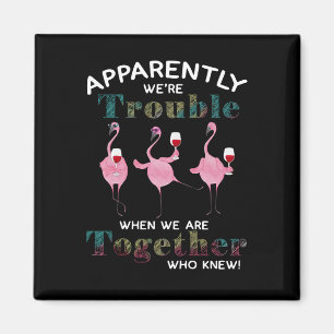 Aimant Flamingos   Apparently We're trouble Flamingos