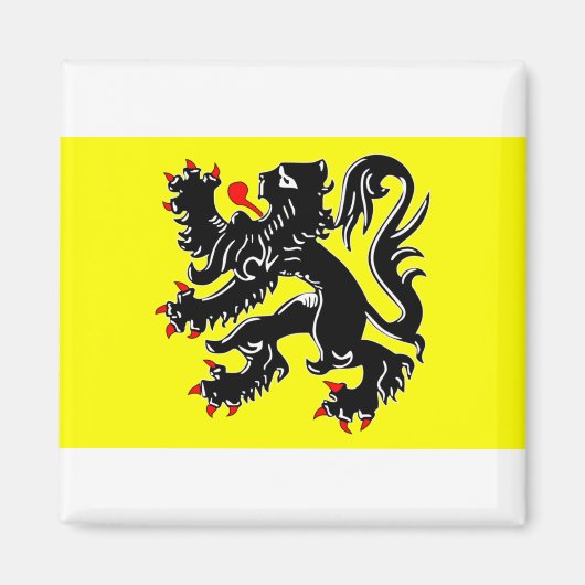 Aimant flandre, drapeau de la belgique (Devant)