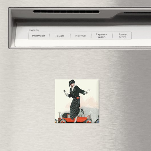 Aimant Flapper et Roadster (In Situ (Lave-vaisselle))