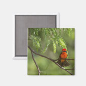 Aimant Flashy Vermillion (Recto/Verso)
