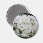 Aimant Flèche blanche Rosa (Recto/Verso)