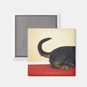 Aimant Flèche de la queue, section arrière (Recto/Verso)