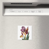 Aimant Fleur (In Situ (Lave-vaisselle))
