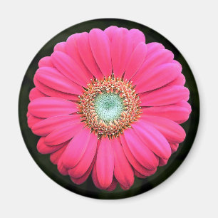 Aimant Fleur