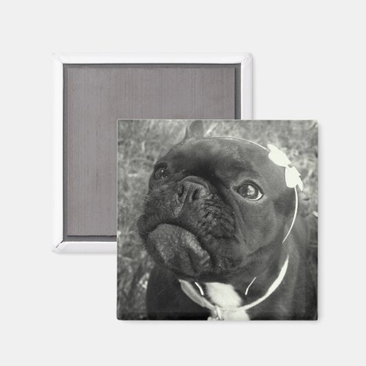 Aimant Fleur (Recto/Verso)