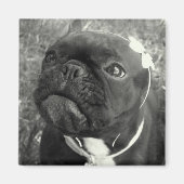 Aimant Fleur (Devant)