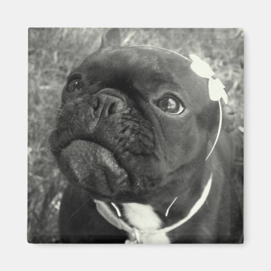 Aimant Fleur (Devant)