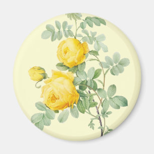 Aimant Fleur