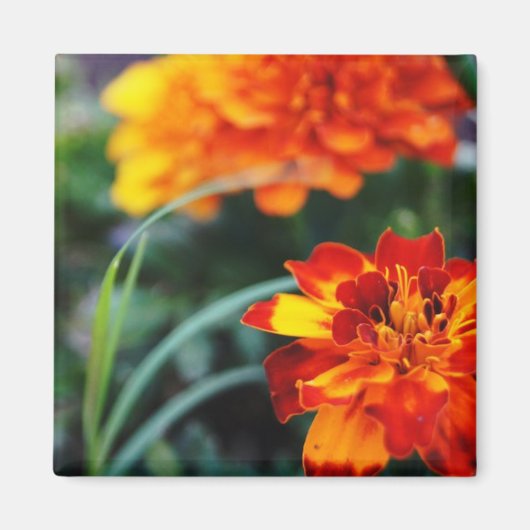 Aimant Fleur (Devant)