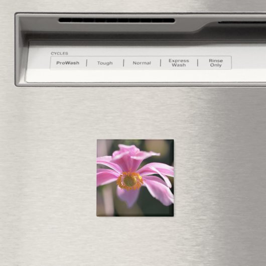 Aimant Fleur (In Situ (Lave-vaisselle))