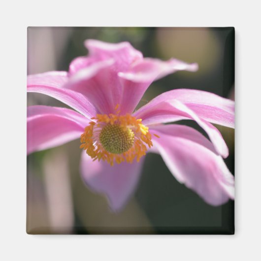 Aimant Fleur (Devant)