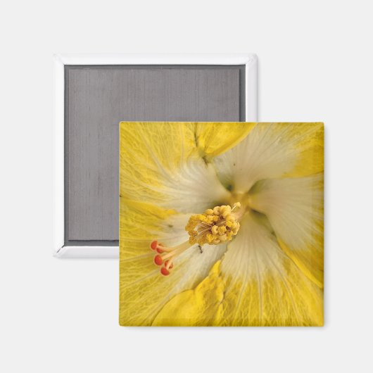 Aimant Fleur (Recto/Verso)
