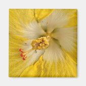 Aimant Fleur (Devant)