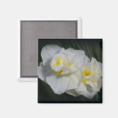 Aimant Fleur blanche (Recto/Verso)