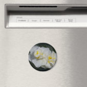 Aimant Fleur blanche (In Situ (Lave-vaisselle))