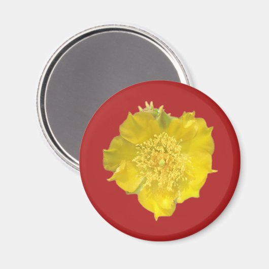 Aimant Fleur Cactus (Recto/Verso)