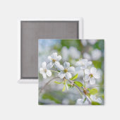 Aimant Fleur cerise blanche (Recto/Verso)