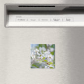 Aimant Fleur cerise blanche (In Situ (Lave-vaisselle))