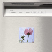 Aimant Fleur Cosmos (In Situ (Lave-vaisselle))