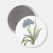 Aimant Fleur d'Agapanthus (Recto/Verso)