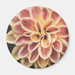 Aimant Fleur Dahlia d'été (Art Floral)