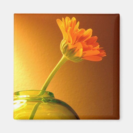 Aimant Fleur dans Vase (Devant)