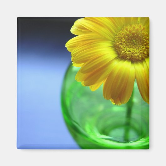 Aimant Fleur dans Vase (Devant)