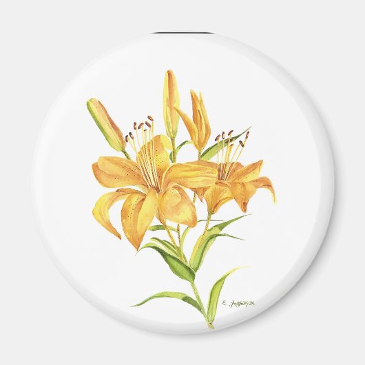 Aimant Fleur d'aquarelle orange et jaune Tigre (Devant)