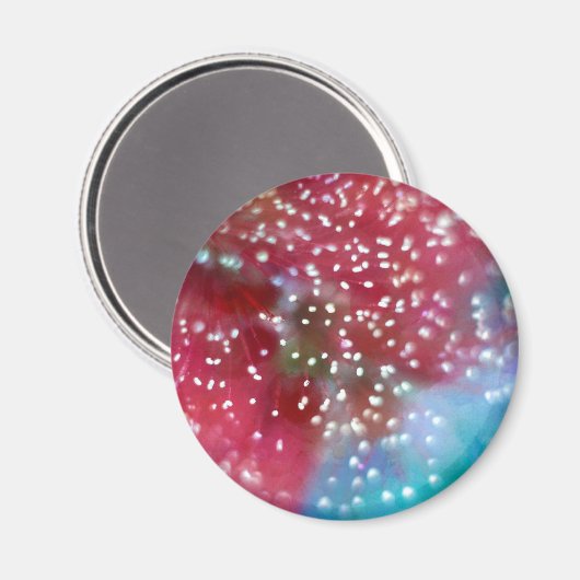 Aimant Fleur de brosse Abstraite (Recto/Verso)